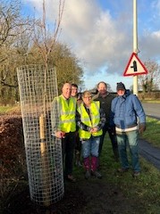 Photo of trees being planted on A6